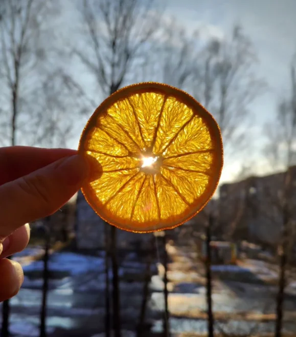 Фруктовые чипсы апельсин, 50 гр. фото 1